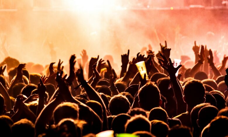 people raising their hands on concert